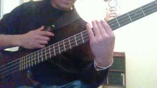 Seru giran - frecuencia modulada cover bajo