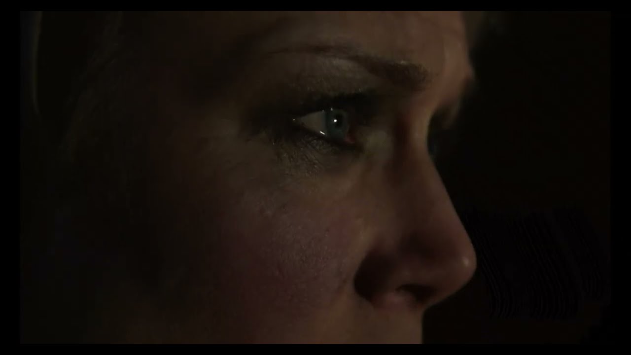 Drugi singiel i teledysk „The Moment” fińskiego zespołu grającego symfoniczny metal progresywny Dominant Chain