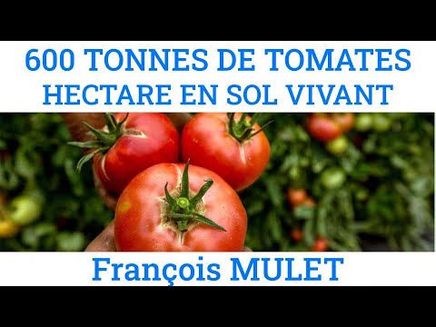 , title : '600 TONNES DE TOMATES HECTARE EN SOL VIVANT -  François Mulet'