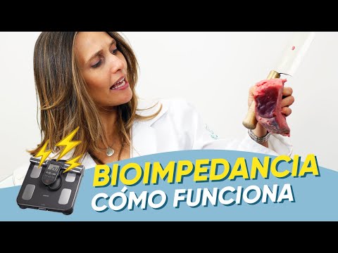 Porcentaje de grasa corporal en hombres y mujeres (cómo calcular) - Tua Saúde