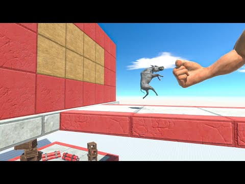 Who Can Escape from Epic Punch on TNT - Animal Revolt Battle Simulator