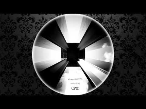 Wirrwarr - Static Flux (Flug Remix) [030]