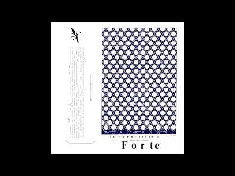 Forte - FDINS