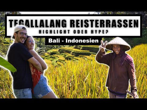 Tegallalang Reisterrassen - HIGHLIGHT or HYPE? - Bali 2022