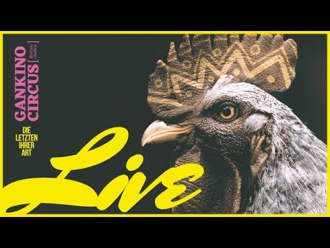 Die Letzten ihrer Art – live | Official Album Teaser (2019)