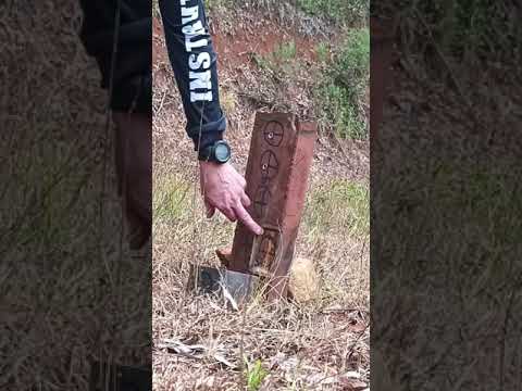 Treino  e teste com rifle/fuzil  5.56 chapa 12 mm- 4 disparos a 50 metros .