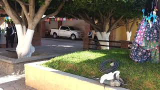 Salón las Rosas tema mexicano