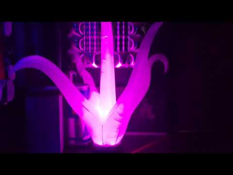 Beat Herren @ Goafamily - alte Kaserne Zürich