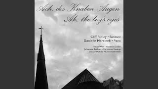 Four Serious Songs, Op. 121: Wenn Ich Mit Menschen