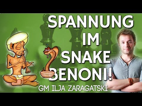 Schach DVD: Wilde Stellungen im Snake Benoni - GM Ilja Zaragatski [chess24]