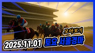 2025년 11월 1일 토요 서울경마 전체경주 모아보기