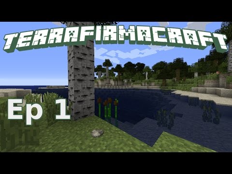 How to TerraFirmaCraft #1 The First Day