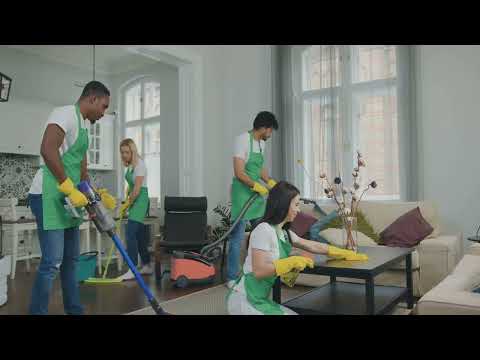 What Is the Average Cost of Gutter Cleaning in Surrey, BC? Insights from Revive Services