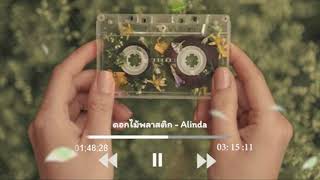 ดอกไม้พลาสติก Alinda