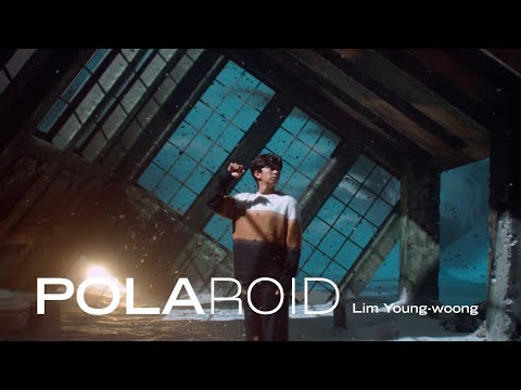 Lim Young Woong - Polaroid on Spotify Charts