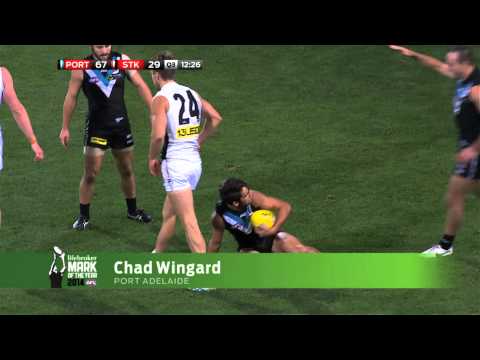 AFL Mark of the Year Nominations - Round 12 2014