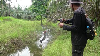 Download lagu PENASARAN !!! TES SPOT PRIBADI TERNYATA HASILNYA......🔥 mp3 Download lagu PENASARAN !!! TES SPOT PRIBADI TERNYATA HASILNYA......🔥 mp3