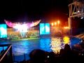 Christmas Miricles Show At Sea World Orlando Finale