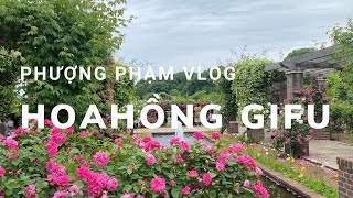 Thế giới hoa hồng tại Gifu-Gifu World Rose Garden