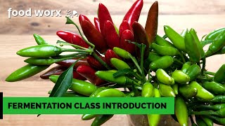 Fermentation Class Introduction