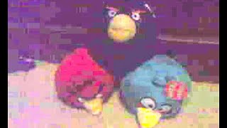 My First Bird Story