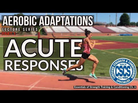 Acute Responses to Aerobic Training | CSCS Chapter 6 thumbnail