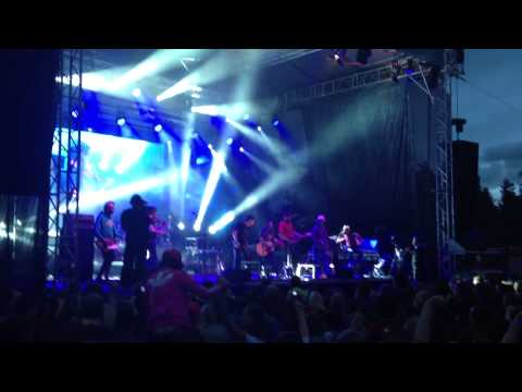 DIVOKEJ BILL - KONĚ