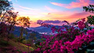 Glow City - Miss You