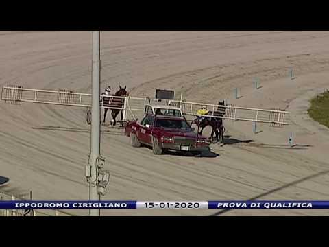 Aversa trotto 15 Gennaio 2020 - Prova di qualifica