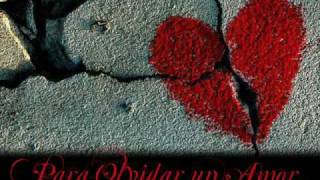 Para Olvidar un Amor... (José Manuel Soto)