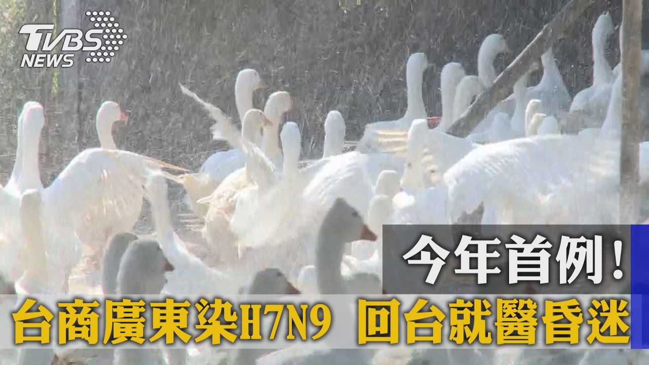 今年首例！台商廣東染H7N9　回台就醫昏迷