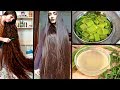 just-apply-this-oil-to-your-scalp-and-grow-extremely-long-hair-and-stop-extreme-hair-fall-02-08-2019