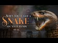 When You’ve Got A Snake On Your Hands - Pastor Stacey Shiflett