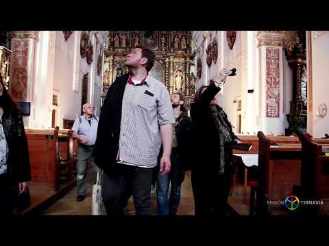 TRNAVA - Guided Tour