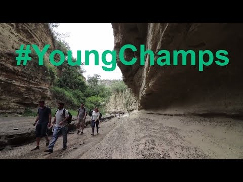 Meet the Next Generation of Environmental Leaders: Young Champions of the Earth 2017