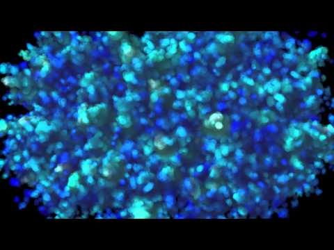 Club Visuals 304 - Free VJ Loop