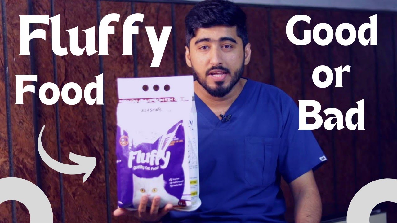 Fluffy Cat Food Review || Animalia Dot Pk