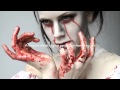 Apocalyptica ft. Lacey Sturm~ Broken Pieces ...