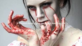 Apocalyptica ft. Lacey Sturm~ Broken Pieces (lyrics)