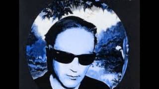 Steve Kilbey - Heliopolis