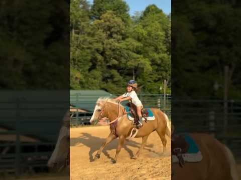 As menina da pecuária #rodeio #cavalo #3tambores #horse #cavalo #rodeo #pecuária