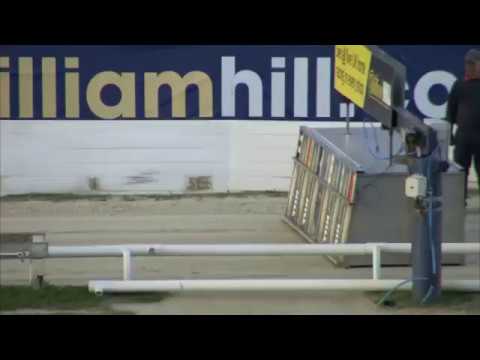 2017 WILLIAM HILL GRAND PRIX - 3RD SEMI - T4 GLAMOROUS SHARIF