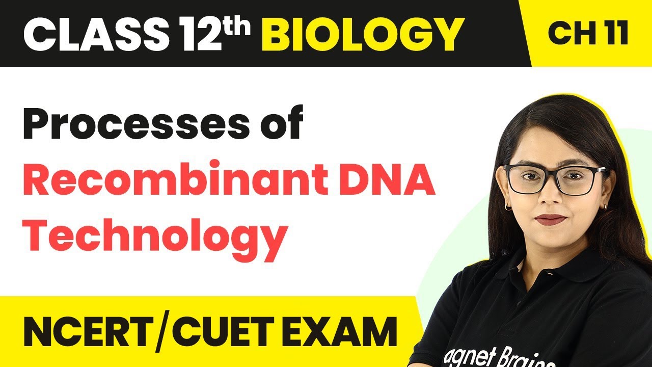 Processes of Recombinant DNA Technology | Class 12 Biology Chapter 11 (2022-23)