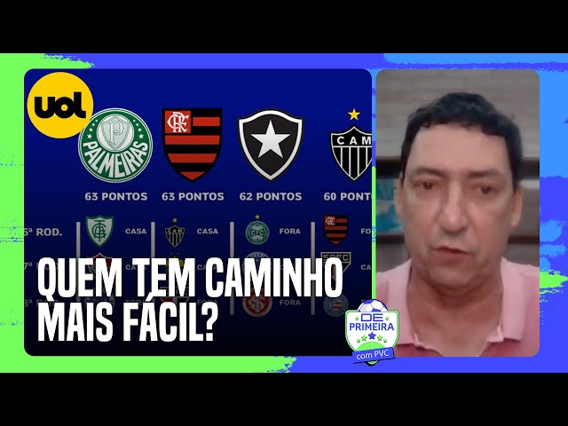 Palmeiras amplia chances de título do Brasileirão, mas Flamengo entra forte  na briga