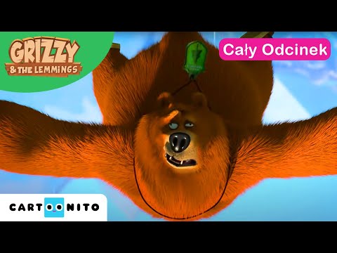 Grizzy i lemingi | Niedźwiedź w stanie nieważkości (cały odcinek) | Cartoonito