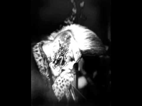 Sparky And The Deadbillys   Hang Down And Die