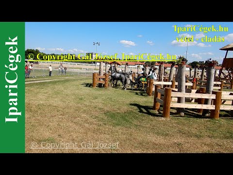 Fogathajtás, RAKOCZI Gergo (42), ROU, 3s, Marathon, 4K, Bp., 2021., sv4K210904-3-1258-220107