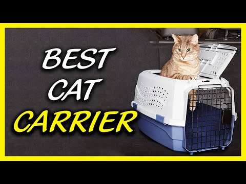 Best Cat Carrier | TOP 5 Cat Carriers 2022 🐱✅