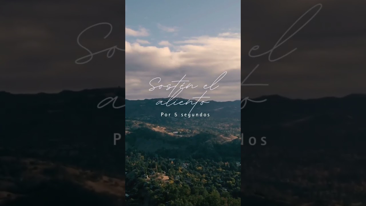 Daphne Klein Reitich-18