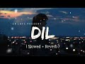 Dil Female Version Lofi Slowed Reverb Shreya Ghoshal SR Series